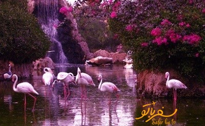 باغ پرندگان کیش